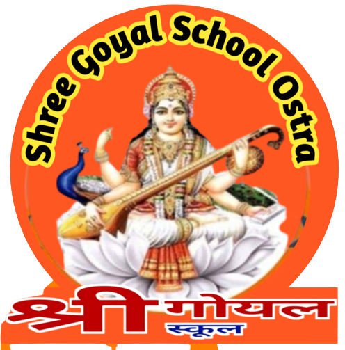 Shree Goyal School